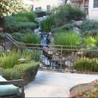 A tranquil garden with a small waterfall surrounded by lush greenery.