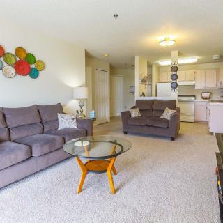 A bright and modern open-plan living room with a kitchen, featuring comfortable sofas and a stylish coffee table.