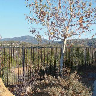 A scenic view of a tree and fence with mountains in the background.