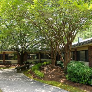 A serene outdoor view featuring modern architecture surrounded by lush greenery.