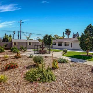 A residential yard with landscaping and a clear blue sky.