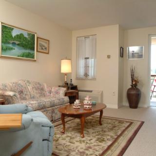 A cozy living room with a sofa, coffee table, and decorative elements.