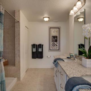 A modern bathroom featuring a granite countertop, double sinks, and a walk-in shower with decorative elements.