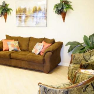 A cozy living room with a brown sofa adorned with colorful pillows and wall-mounted artwork, complemented by lush green plants for a fresh ambiance.