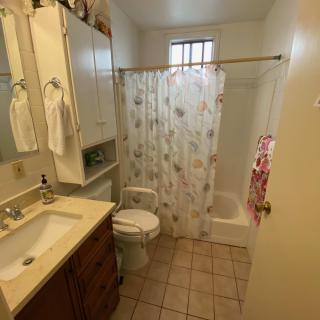 A small bathroom with a sink, toilet, and a shower area separated by a floral-patterned curtain.
