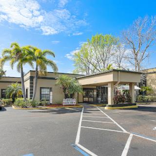 A welcoming hotel entrance surrounded by lush palm trees under a clear blue sky.