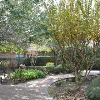 A serene garden with a winding pathway surrounded by lush trees and foliage.