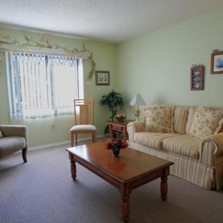 A cozy living room with a sofa, coffee table, and armchair arranged neatly, complemented by decorative elements.
