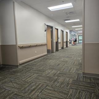 A view of a well-lit hallway featuring multiple doors and carpeted flooring.