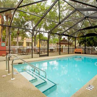 A serene outdoor swimming pool within a screened enclosure, surrounded by trees.