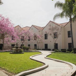A peaceful courtyard with a winding pathway, fountain, and blooming trees.