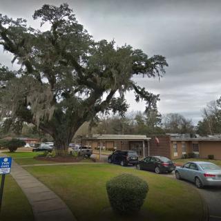 A large tree stands next to a single-story building with parked cars and a cloudy sky overhead.