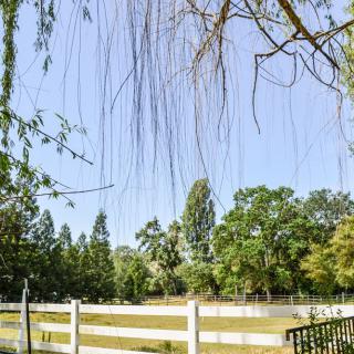 A serene view of a fenced pasture with trees under a clear blue sky.