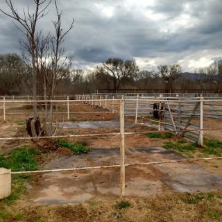 A tranquil ranch scene featuring fenced areas and grazing horses under a cloudy sky.