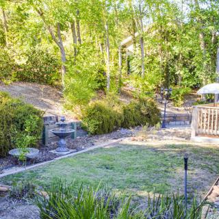 A serene backyard garden with lush greenery and a small lawn area.