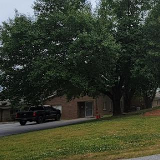 A view of a suburban home with lush trees and a parked car in the driveway.