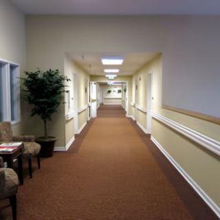 A long, well-lit hallway with carpet and indoor plants.