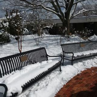 A serene winter scene with benches covered in freshly fallen snow.