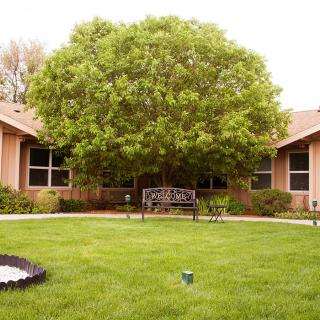 A peaceful courtyard featuring a large tree, surrounded by buildings and a well-maintained lawn.