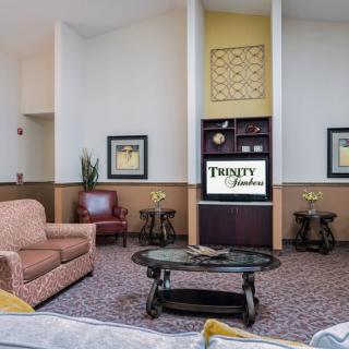 A cozy living room with stylish furniture and decorative elements.
