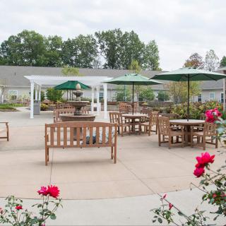 A serene patio area with wooden tables and umbrellas, surrounded by blooming roses and lush greenery.