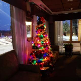 A beautifully decorated Christmas tree illuminated with colorful lights in a cozy interior setting.