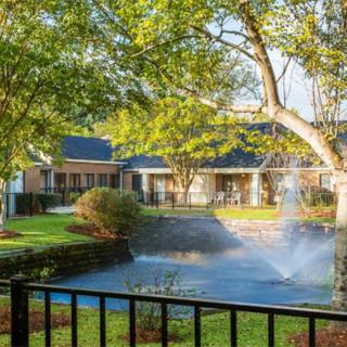A serene view of a fountain surrounded by lush greenery and buildings.