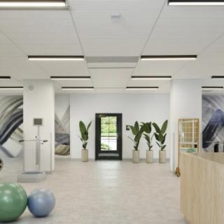 A modern and minimalist exercise room featuring yoga balls and indoor plants.