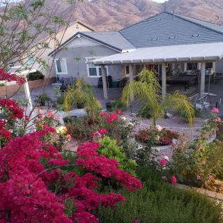 A colorful garden in front of a house with mountains in the background.