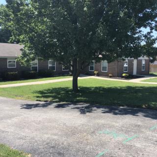 A tranquil courtyard with a large tree and surrounding buildings.