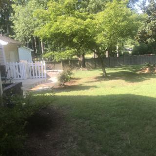 A sunny backyard with grassy lawn, trees, and a white fence.