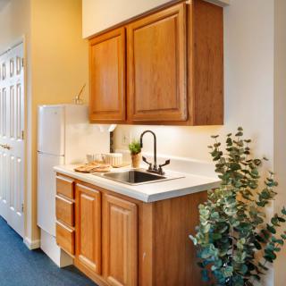 A compact kitchen area with wooden cabinets, a black sink, and a small refrigerator, complemented by a potted plant on the counter.