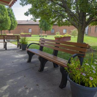 A peaceful outdoor area with benches surrounded by trees and plants.
