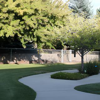 A serene outdoor scene featuring a winding pathway surrounded by lush trees and greenery.