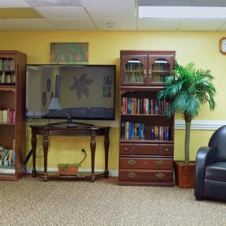 A cozy living room with a television, bookshelves, an armchair, and a potted plant.