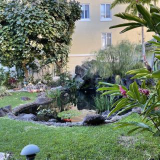A tranquil garden with a small pond surrounded by lush greenery.