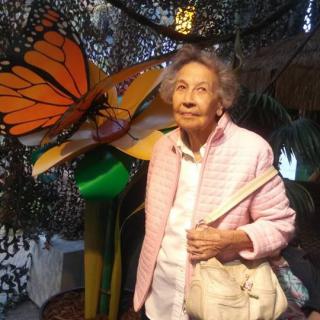 An elderly woman stands in front of a large butterfly artwork indoors.