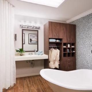 A modern bathroom featuring a sleek bathtub, wood cabinetry, and stylish decor.