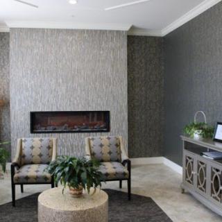 A stylish living room featuring a cozy seating area, a modern fireplace, and decorative plants.