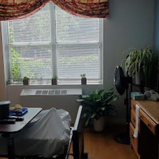 A cozy room featuring a window with curtains, a desk, and indoor plants bringing life to the space.