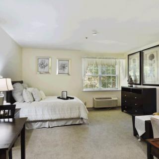 A spacious and well-decorated bedroom with a large bed, dresser, nightstand, and ample natural light from the window.