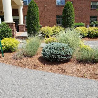 A well-maintained garden area featuring a variety of shrubs and decorative plants.
