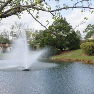 A serene view of a fountain in a tranquil lake surrounded by greenery.