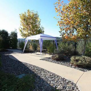 A small tent set up in a garden pathway surrounded by autumn trees.