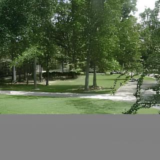 A serene park with lush green grass and tall trees providing ample shade along a paved pathway.
