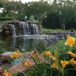 A serene garden scene with a waterfall flowing into a peaceful pond, surrounded by vibrant flowers and lush greenery.