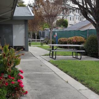 A serene outdoor area featuring a pathway, benches, and colorful flowers.
