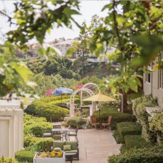 A peaceful garden setting with outdoor seating, lush greenery, and a charming archway on a sunny day.