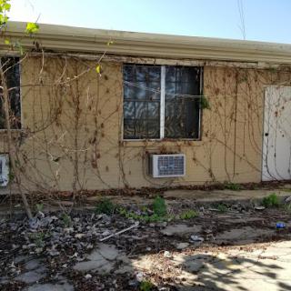 An abandoned house overrun with vines, showcasing signs of neglect.