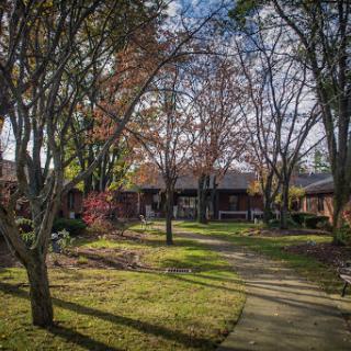 A serene pathway winding through a garden with autumn trees.